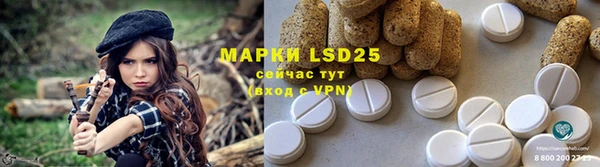 ПСИЛОЦИБИНОВЫЕ ГРИБЫ Майский