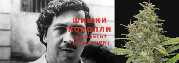 ПСИЛОЦИБИНОВЫЕ ГРИБЫ Майский