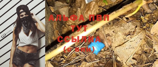 не бодяженный Магас