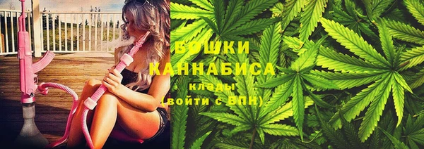 ПСИЛОЦИБИНОВЫЕ ГРИБЫ Майский