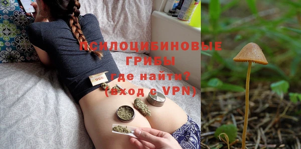 ПСИЛОЦИБИНОВЫЕ ГРИБЫ Майский