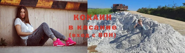 не бодяженный Магас