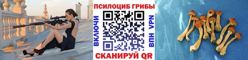 Галлюциногенные грибы мухоморы  Купить закладки  Ялта 